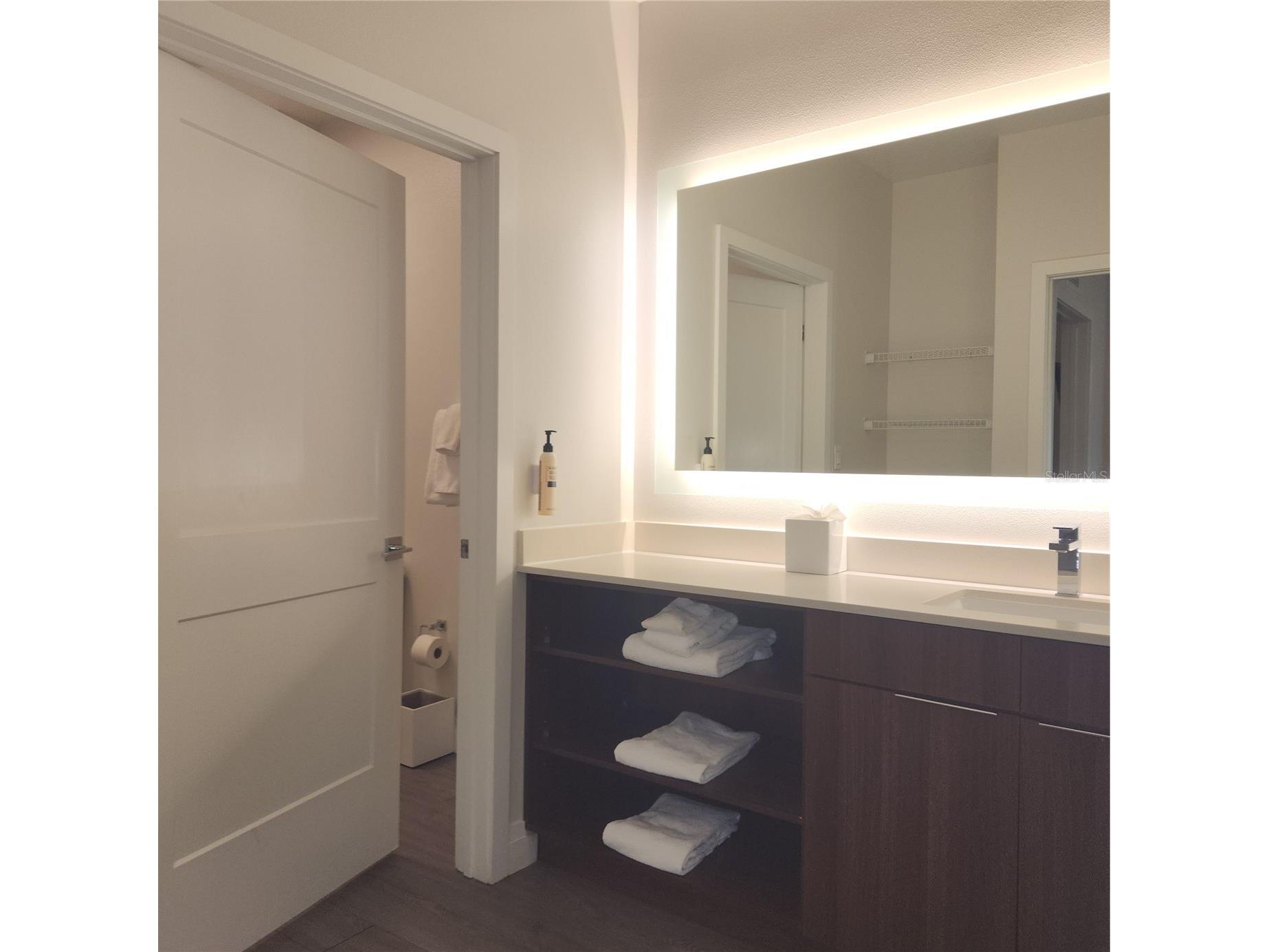 14501 Grove Resort Avenue #2138 Winter Garden FL 34787 O6379849 image25
