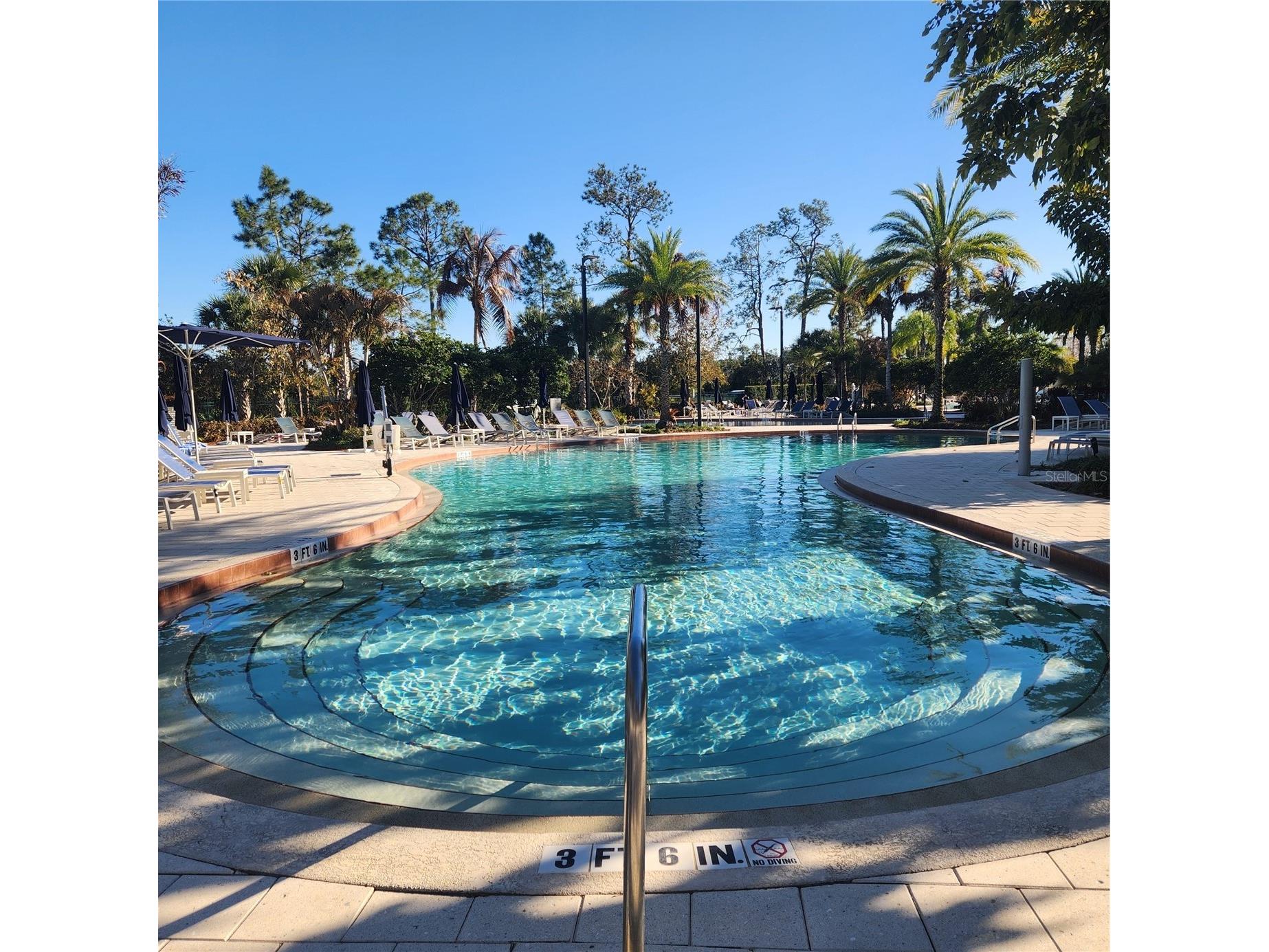 14501 Grove Resort Avenue #2138 Winter Garden FL 34787 O6379849 image35