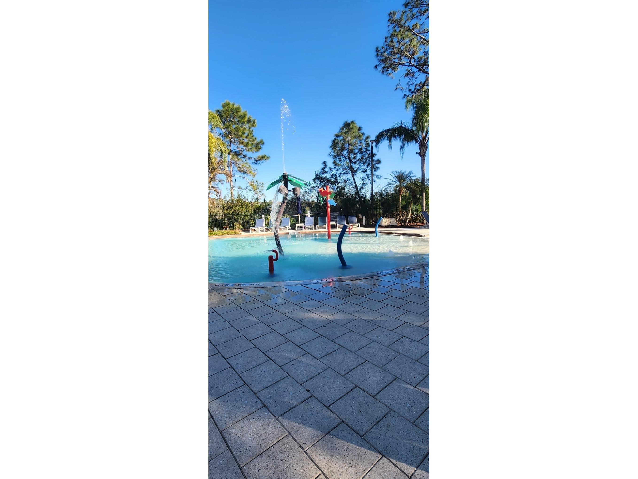 14501 Grove Resort Avenue #2138 Winter Garden FL 34787 O6379849 image39