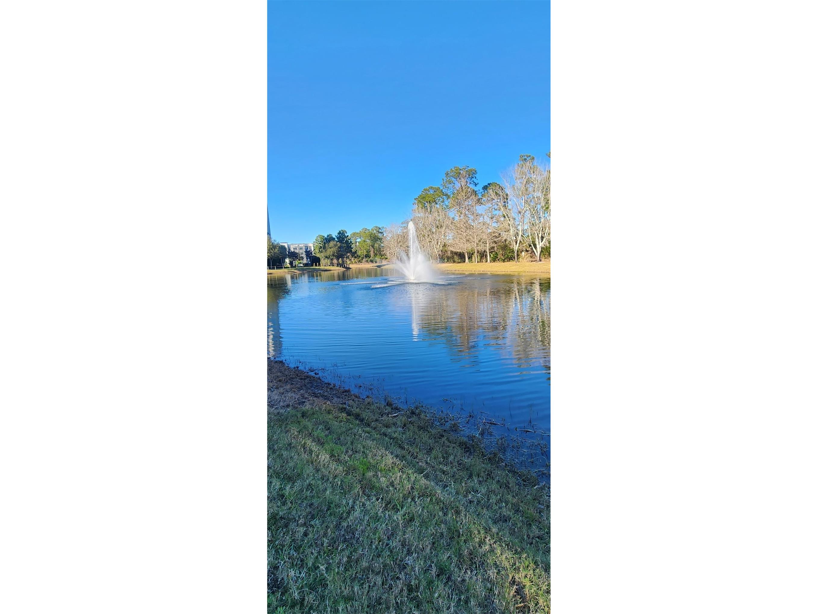 14501 Grove Resort Avenue #2138 Winter Garden FL 34787 O6379849 image40