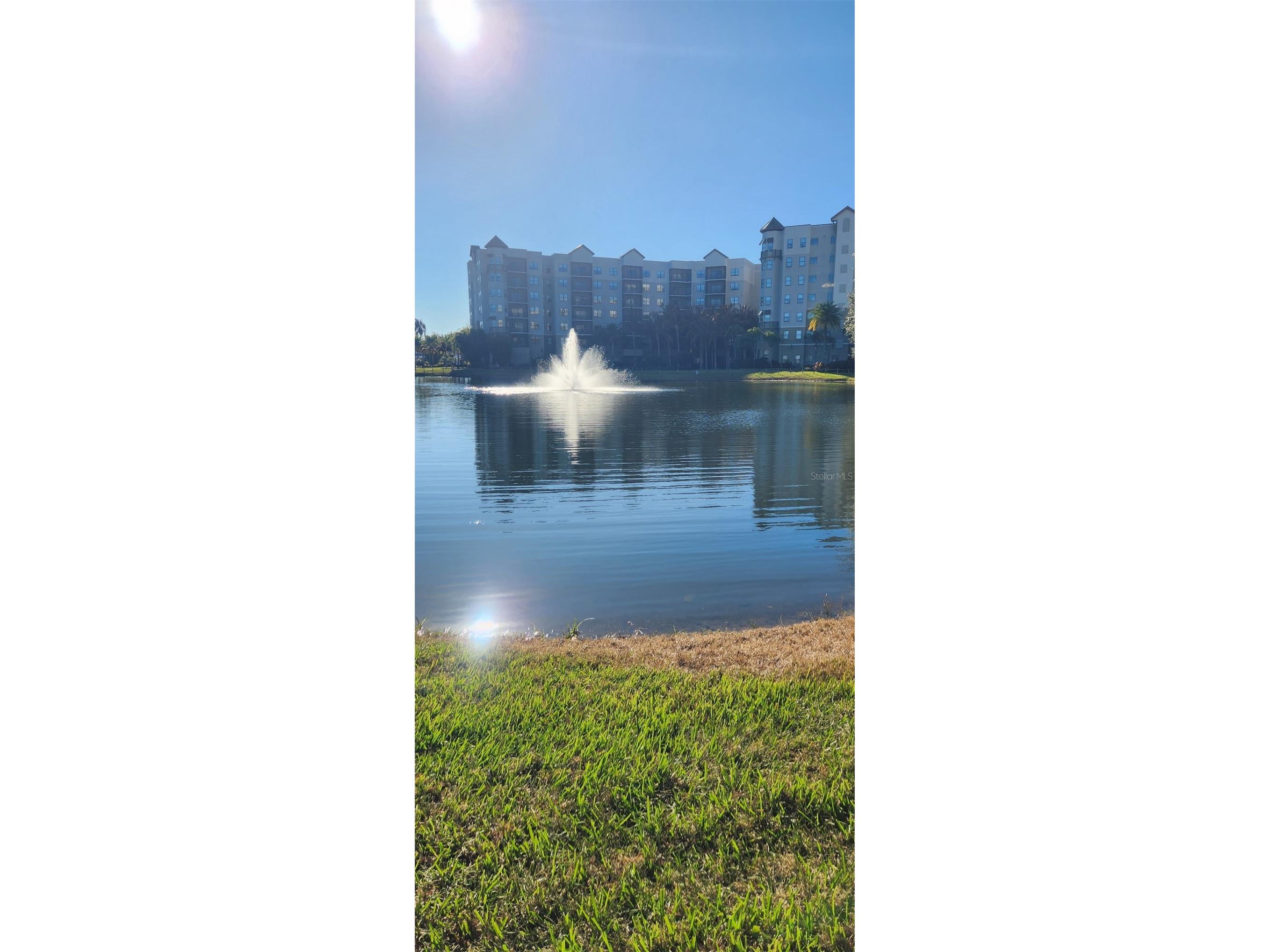 14501 Grove Resort Avenue #2138 Winter Garden FL 34787 O6379849 image41