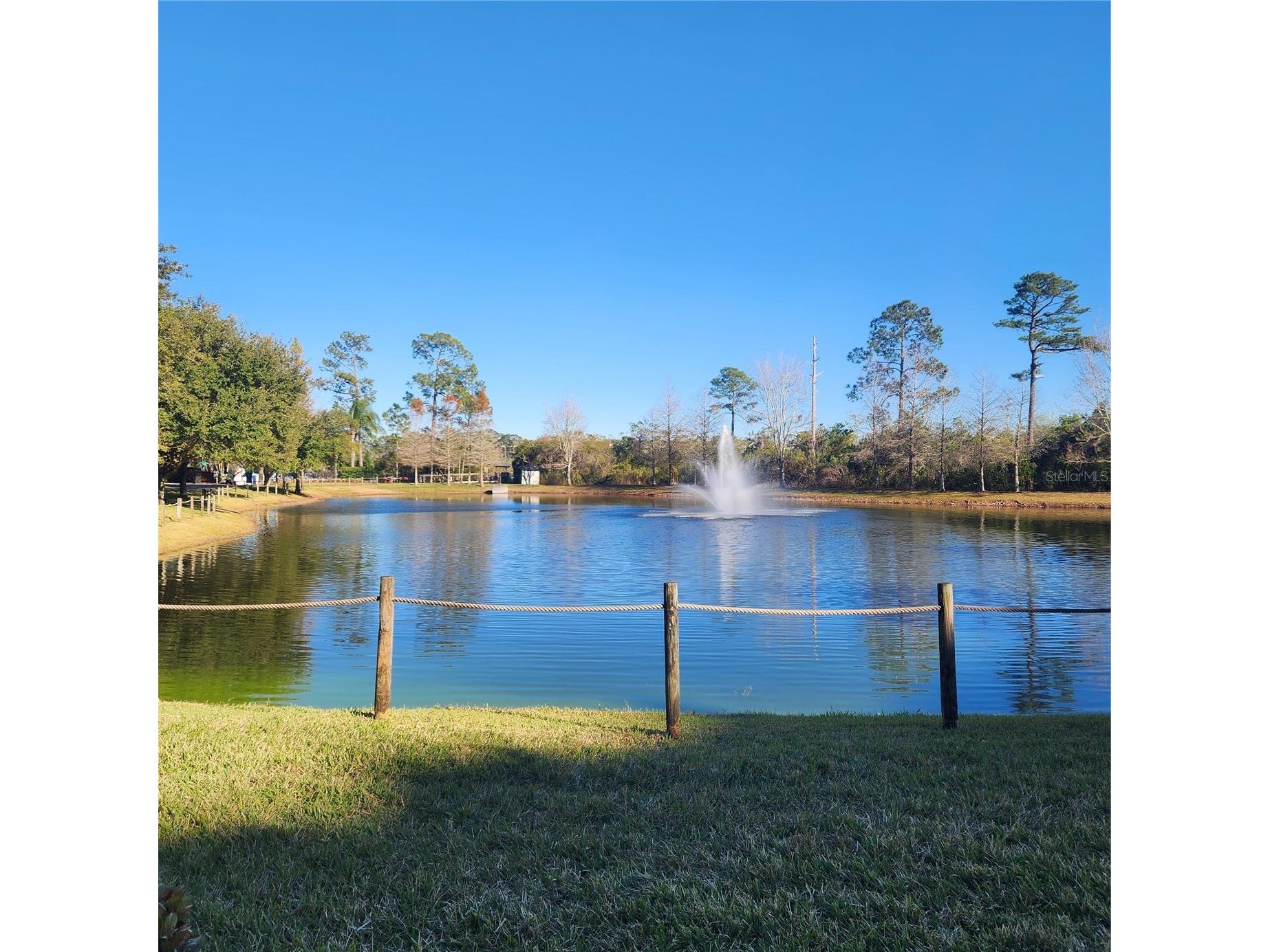 14501 Grove Resort Avenue #2138 Winter Garden FL 34787 O6379849 image50