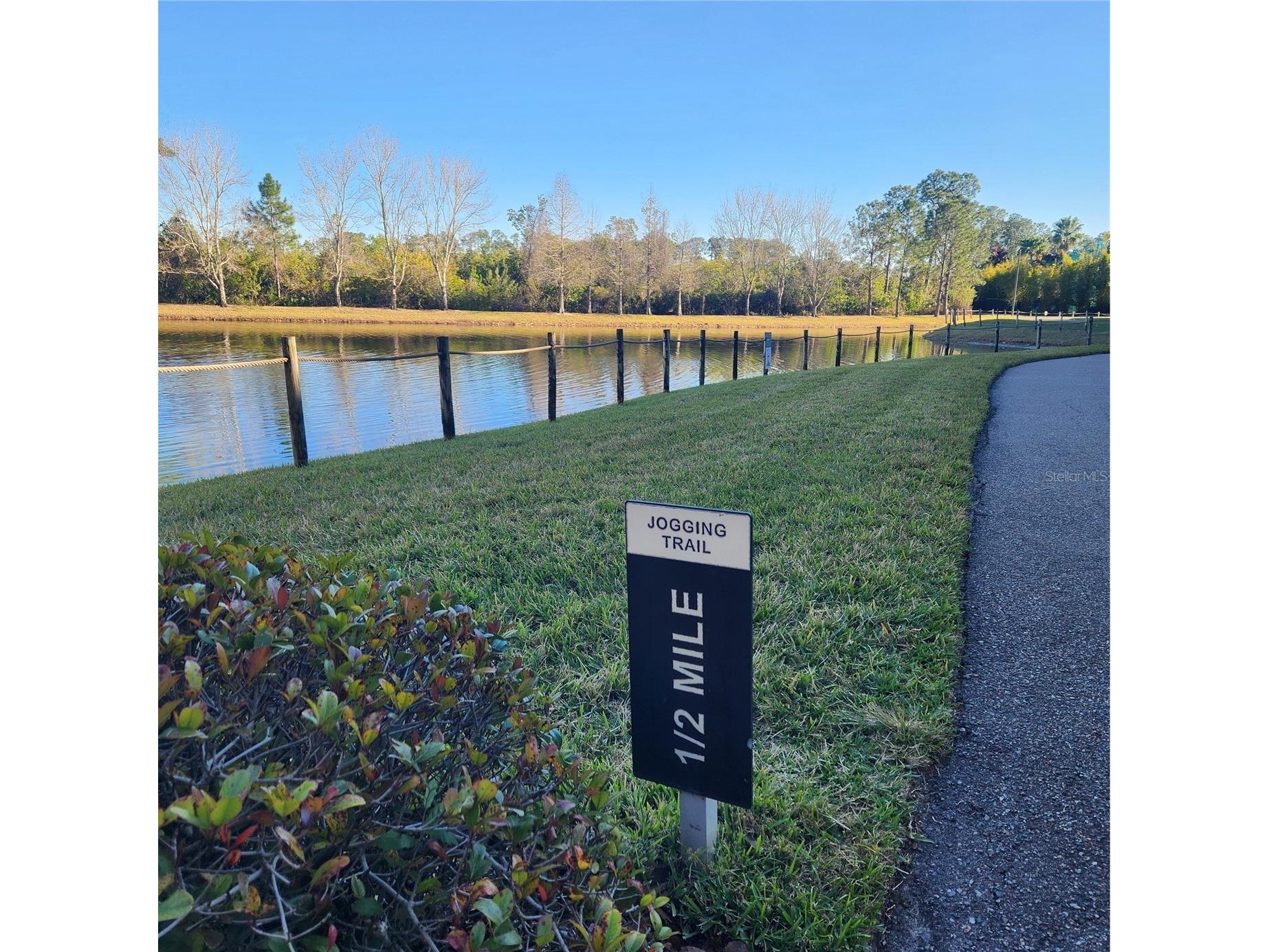 14501 Grove Resort Avenue #2138 Winter Garden FL 34787 O6379849 image51
