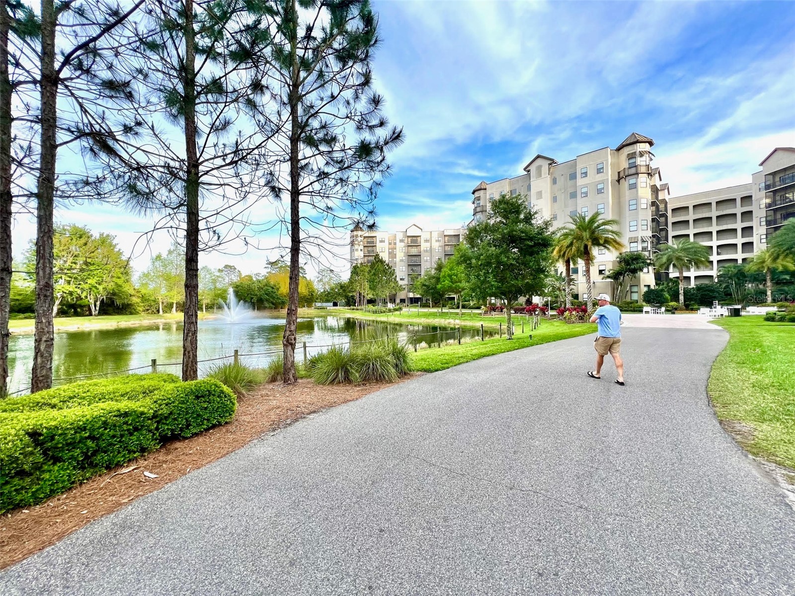 14501 Grove Resort Avenue #2214 Winter Garden FL 34787 TB8506089 image51