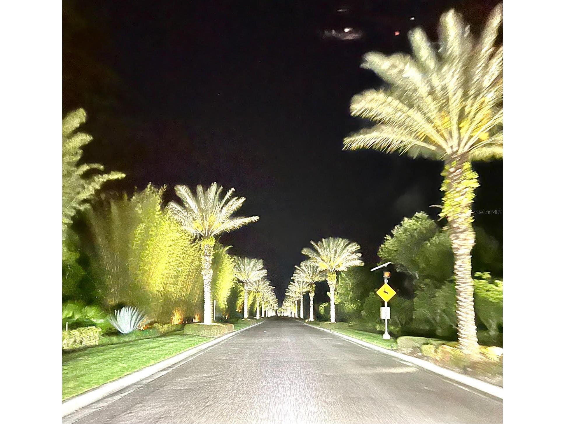 14501 Grove Resort Avenue #2214 Winter Garden FL 34787 TB8506089 image53