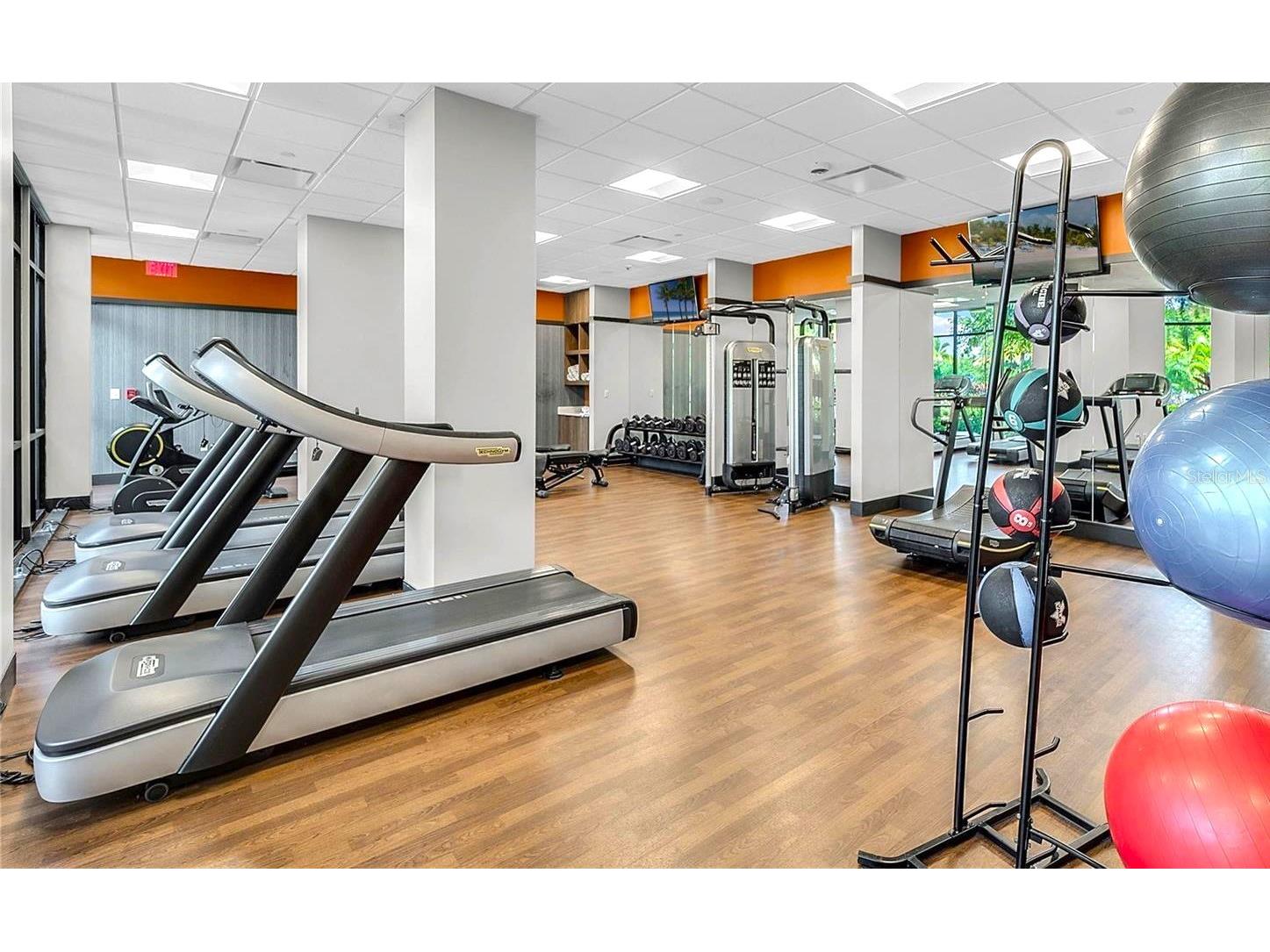 14501 Grove Resort Avenue #2214 Winter Garden FL 34787 TB8506089 image67