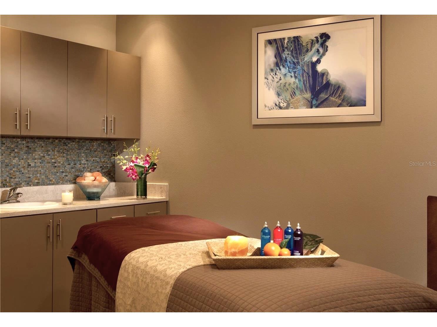 14501 Grove Resort Avenue #2214 Winter Garden FL 34787 TB8506089 image76