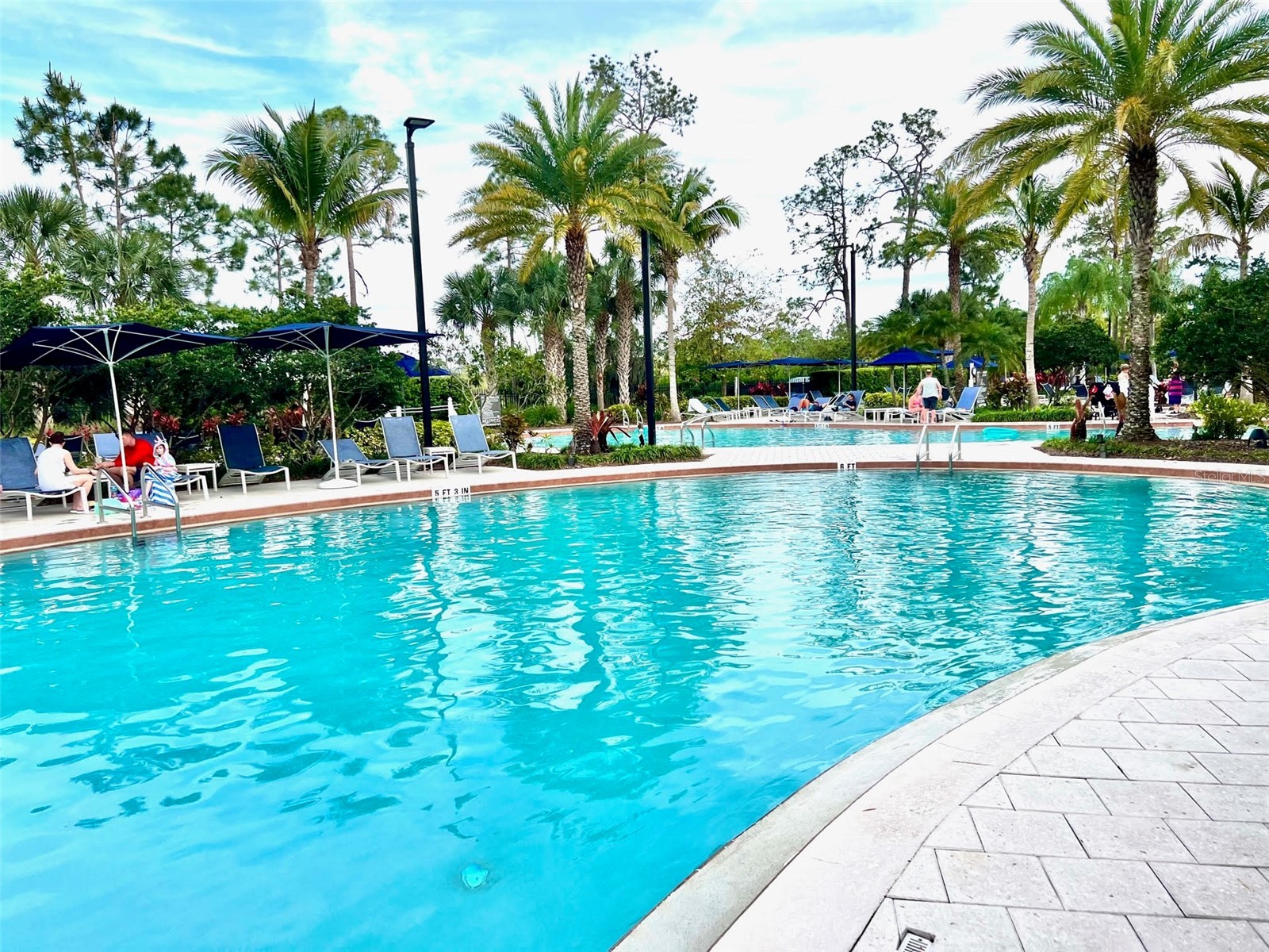 14501 Grove Resort Avenue #2214 Winter Garden FL 34787 TB8506089 image82