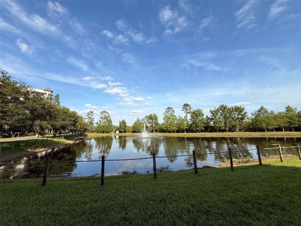 14501 Grove Resort Avenue #2231 Winter Garden FL 34787 O6304520 image24