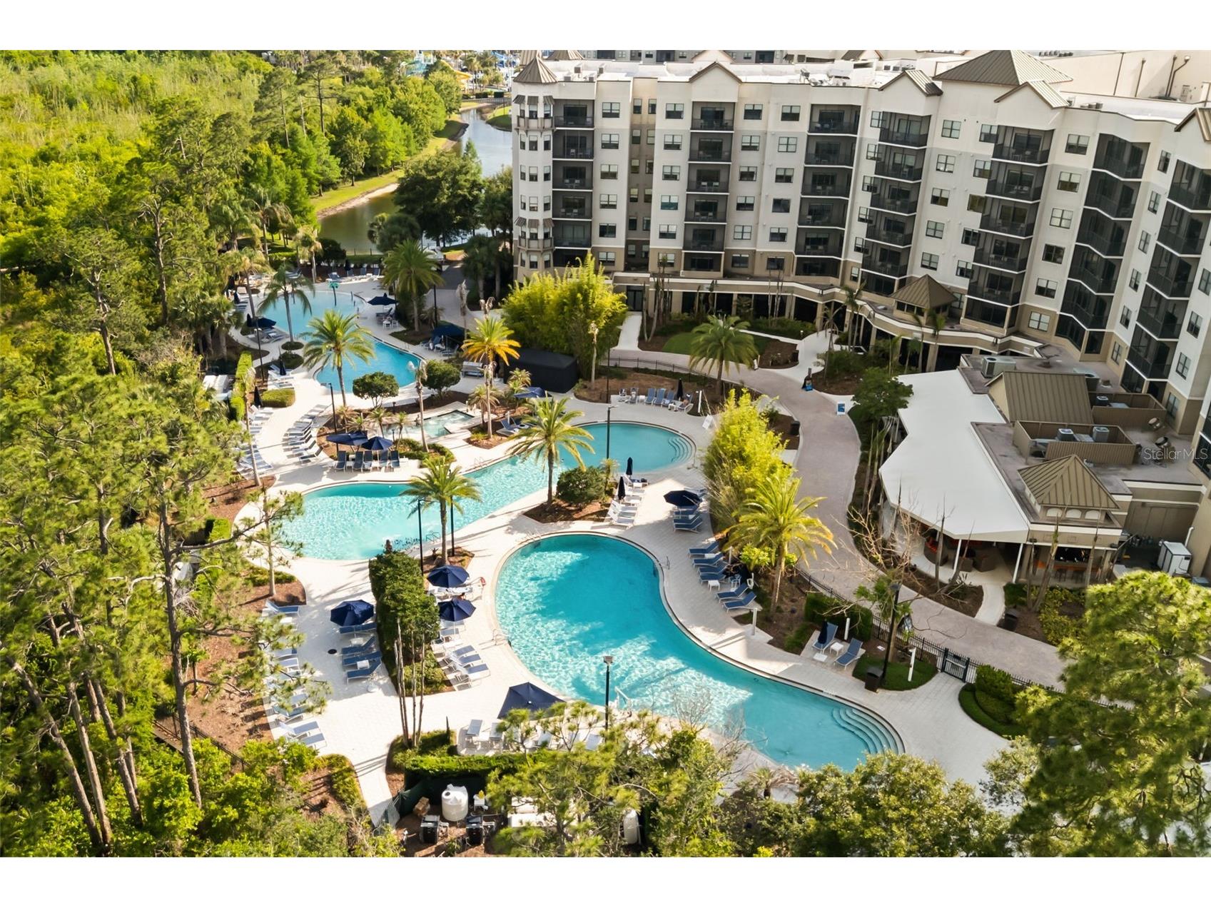 14501 Grove Resort Avenue #2315 Winter Garden FL 34787 O6408406 image29