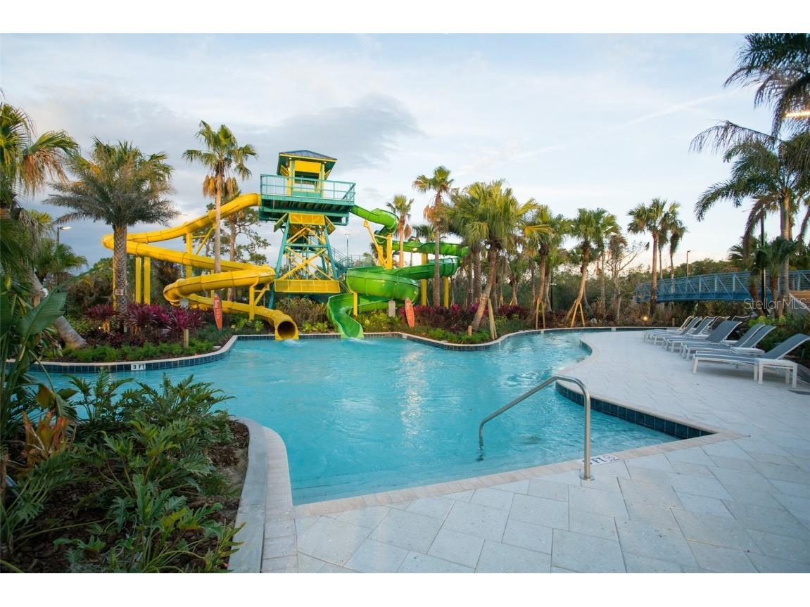 14501 Grove Resort Avenue #2334 Winter Garden FL 34787 O6340736 image33