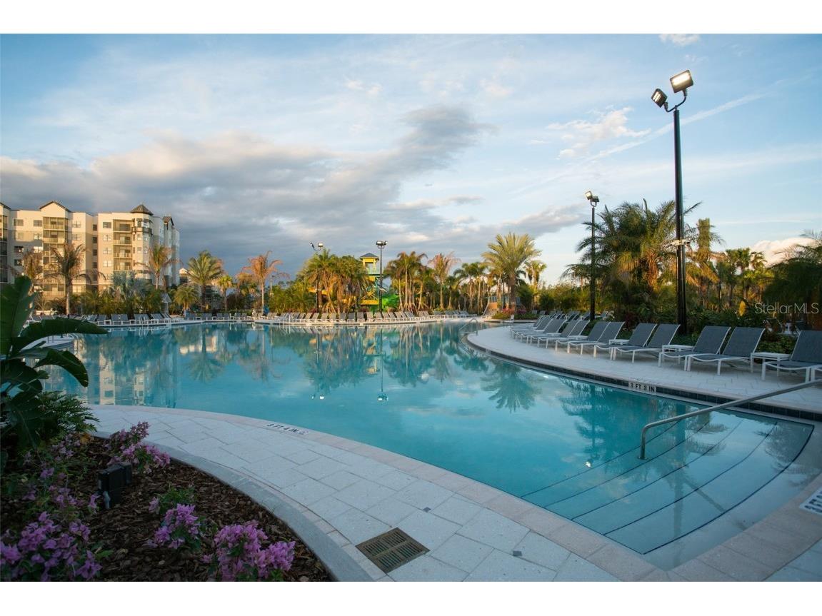 14501 Grove Resort Avenue #2334 Winter Garden FL 34787 O6340736 image38