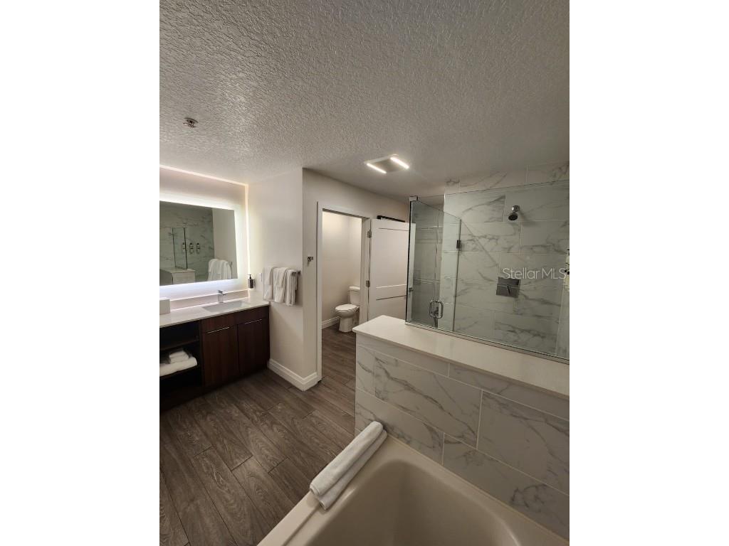 14501 Grove Resort Avenue #2340 Winter Garden FL 34787 O6276786 image25