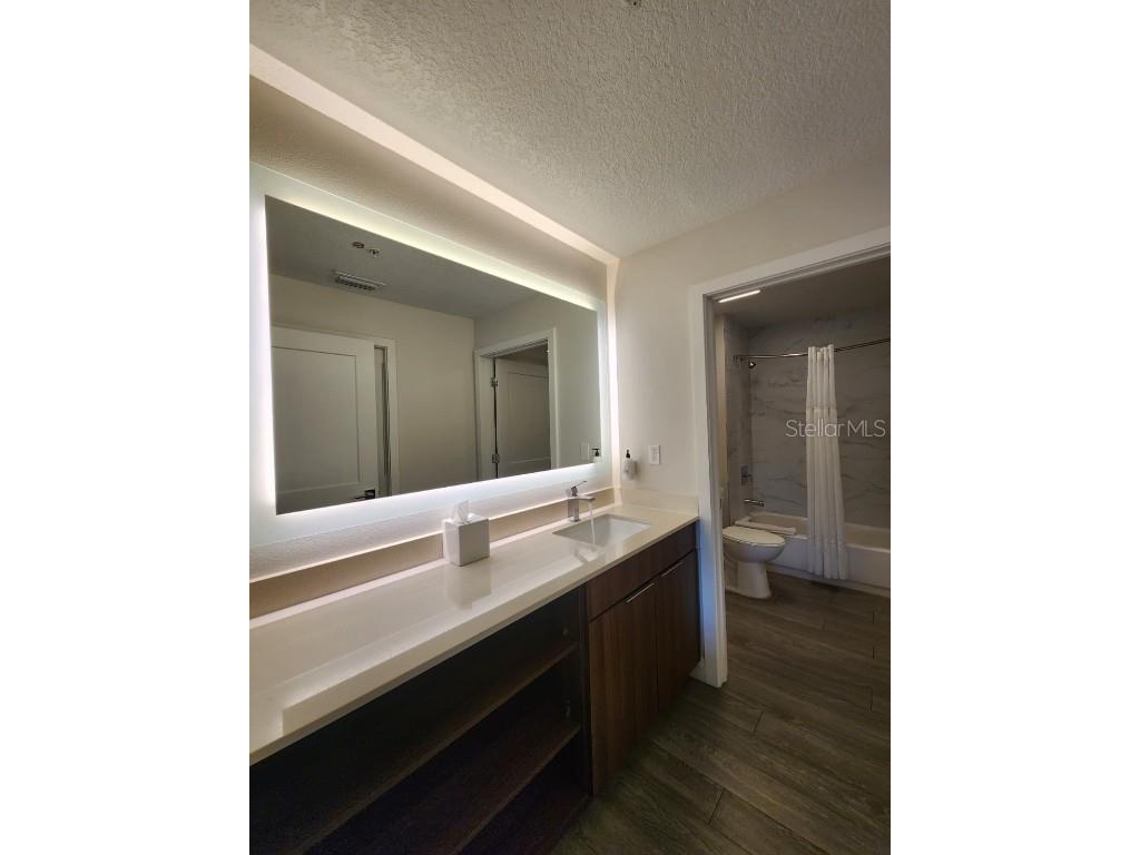 14501 Grove Resort Avenue #2340 Winter Garden FL 34787 O6276786 image9