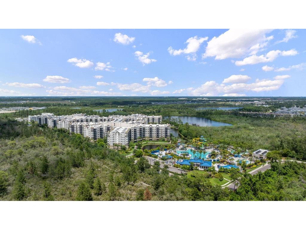 14501 Grove Resort Avenue #2423 Winter Garden FL 34787 O6347744 image33