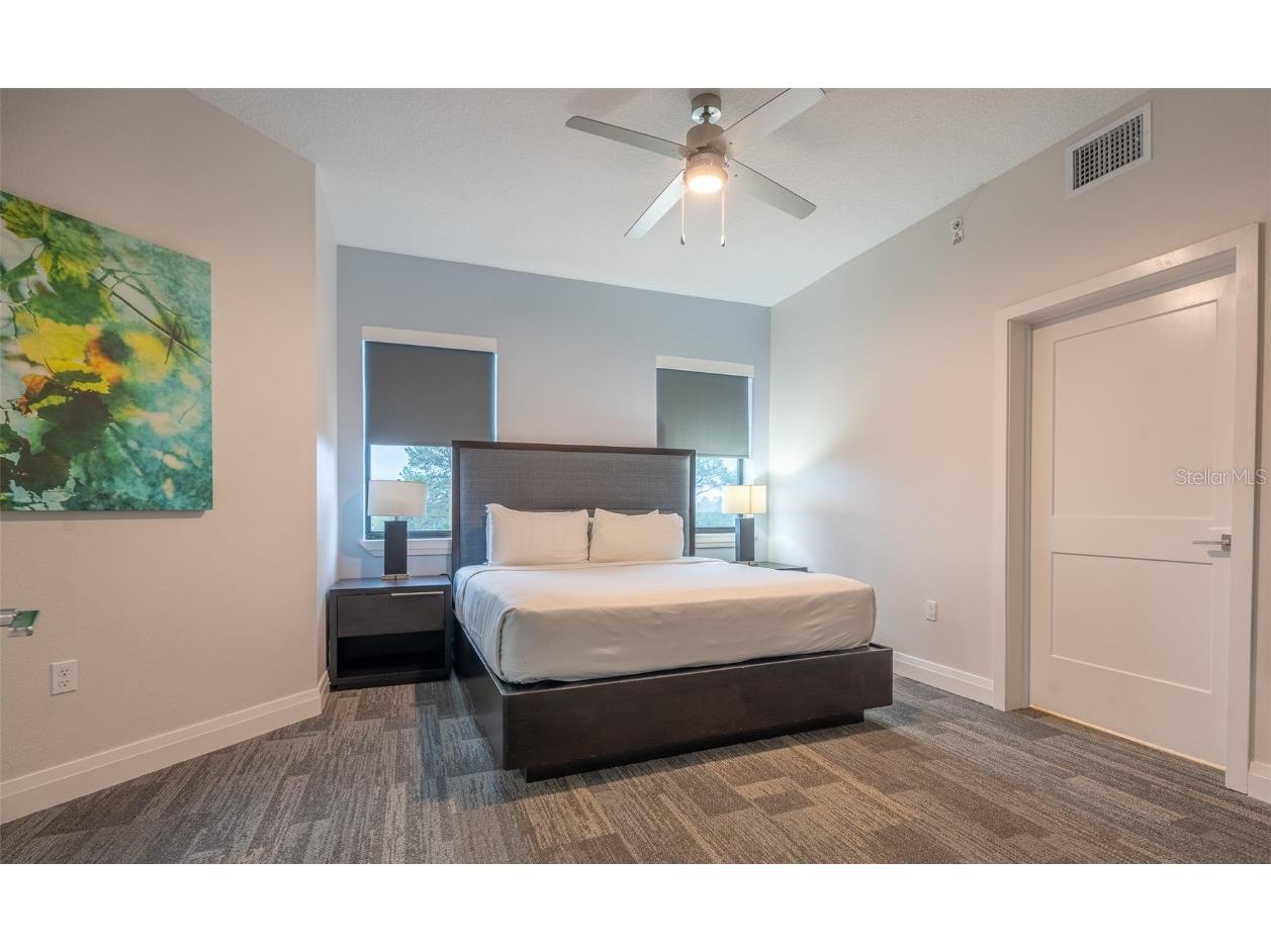 14501 Grove Resort Avenue #2436 Winter Garden FL 34787 O6323858 image15