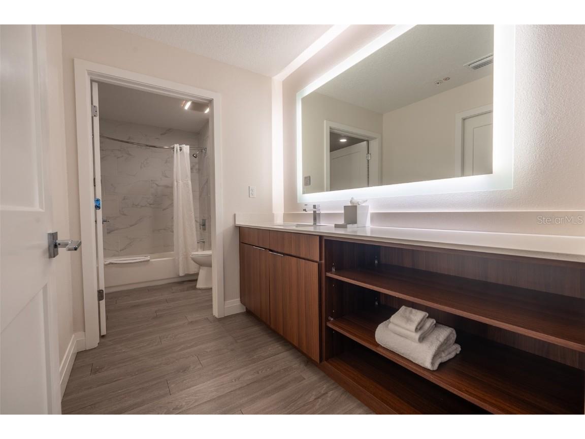 14501 Grove Resort Avenue #2436 Winter Garden FL 34787 O6323858 image31