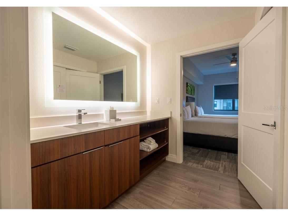 14501 Grove Resort Avenue #2436 Winter Garden FL 34787 O6323858 image35