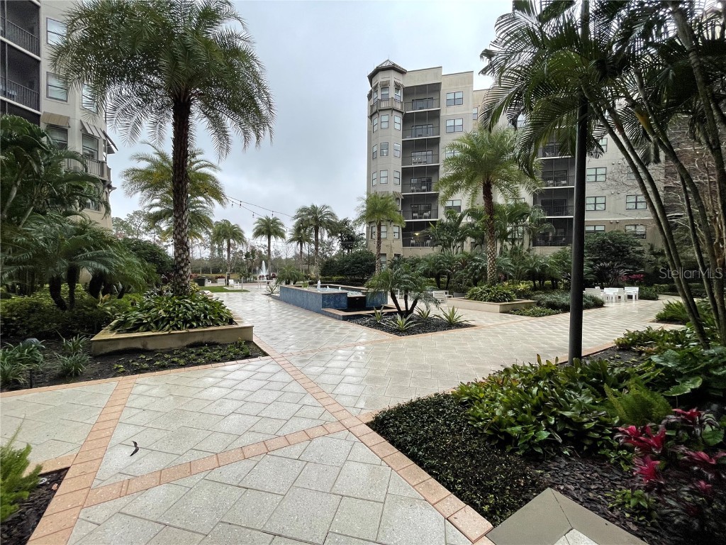14501 Grove Resort Avenue #2436 Winter Garden FL 34787 O6323858 image41