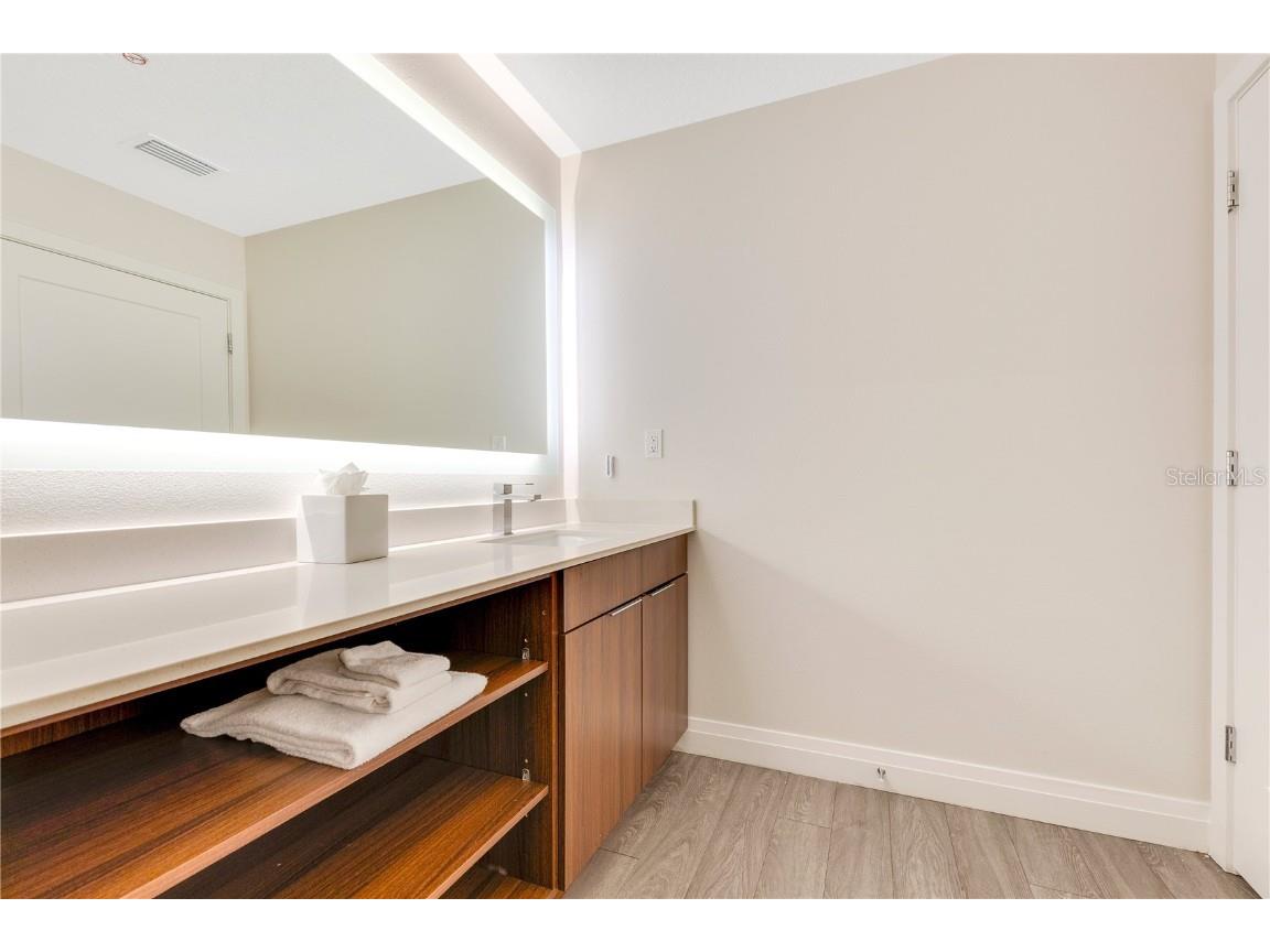 14501 Grove Resort Avenue #2438 Winter Garden FL 34787 O6306977 image18