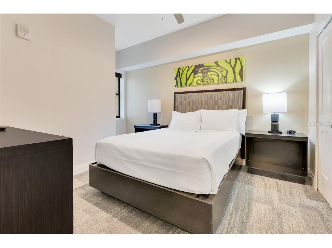 14501 Grove Resort Avenue #2438 Winter Garden FL 34787 O6306977 image21