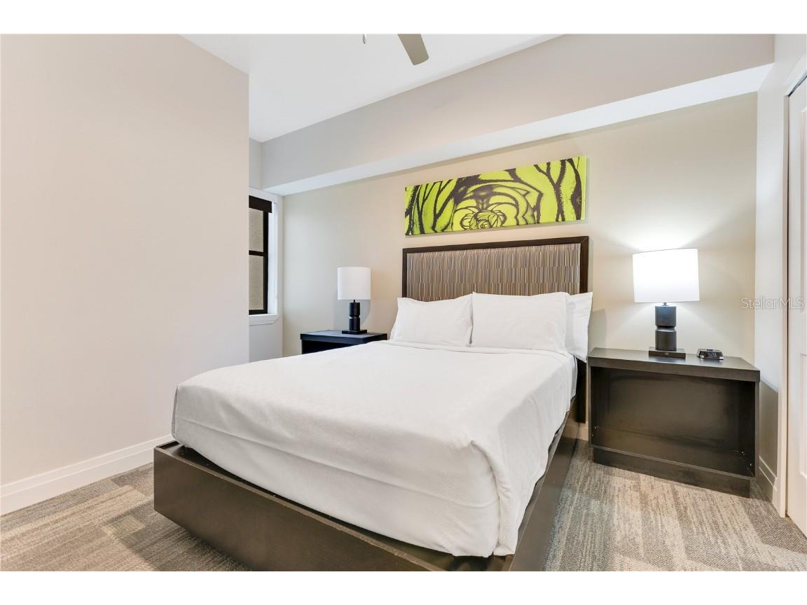 14501 Grove Resort Avenue #2438 Winter Garden FL 34787 O6306977 image22