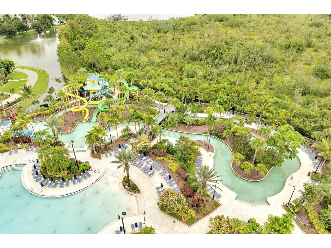 14501 Grove Resort Avenue #2504 Winter Garden FL 34787 S5134474 image51