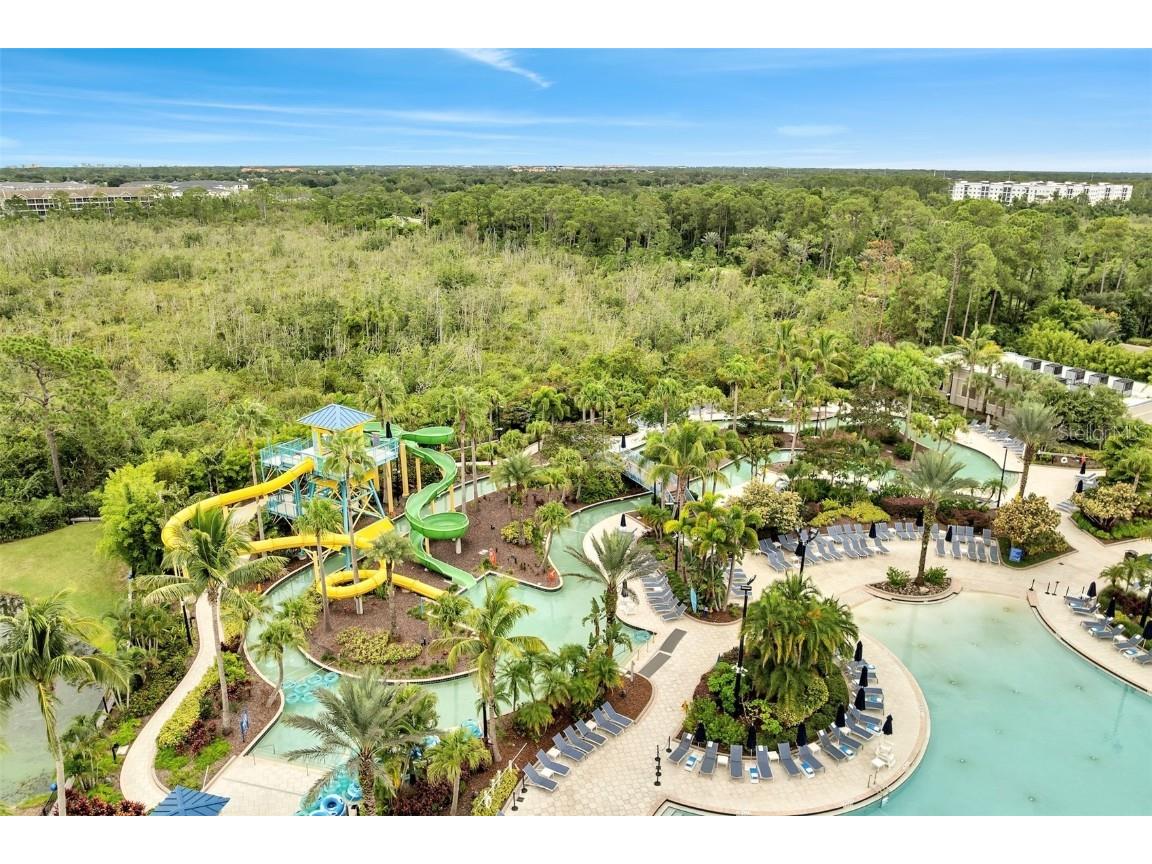 14501 Grove Resort Avenue #2504 Winter Garden FL 34787 S5134474 image7