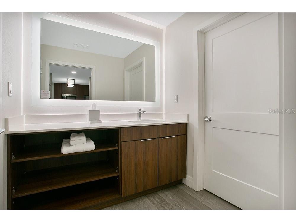 14501 Grove Resort Avenue #2522 Winter Garden FL 34787 O6285998 image17