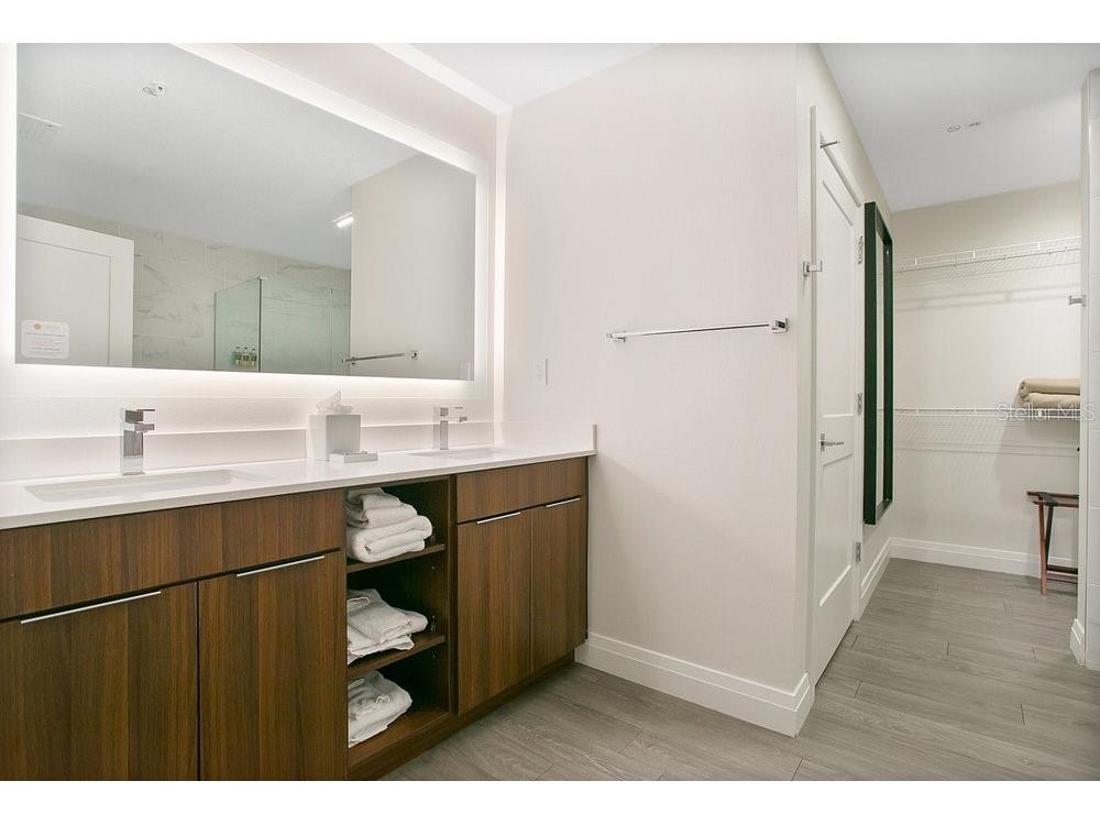 14501 Grove Resort Avenue #2522 Winter Garden FL 34787 O6285998 image22