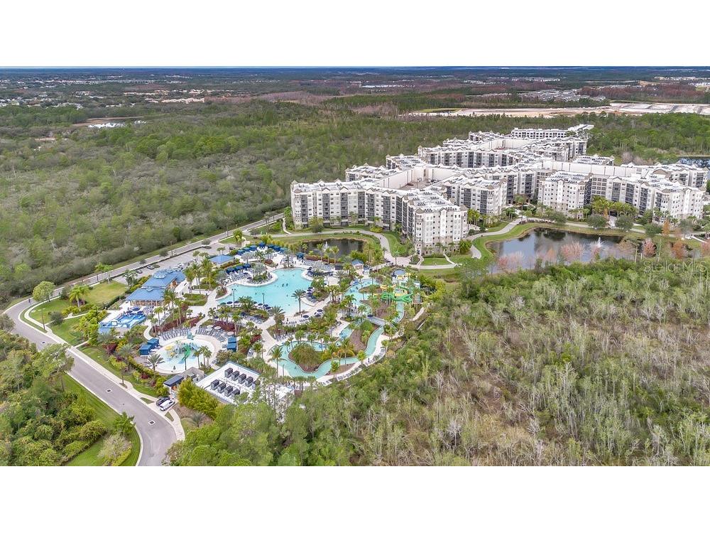 14501 Grove Resort Avenue #2522 Winter Garden FL 34787 O6285998 image31