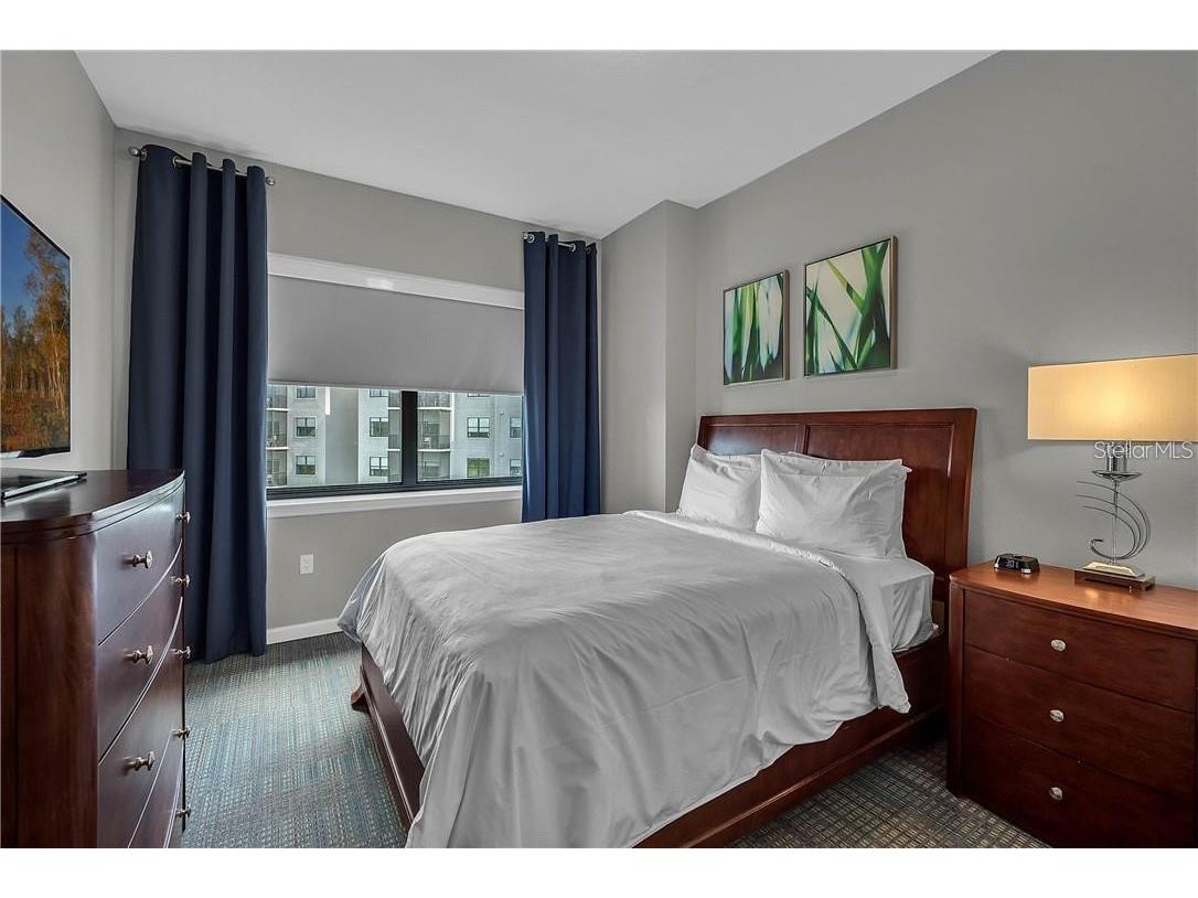 14501 Grove Resort Avenue #2527 Winter Garden FL 34787 O6368187 image13