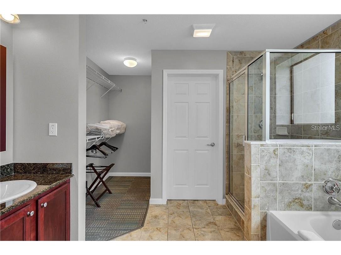 14501 Grove Resort Avenue #2527 Winter Garden FL 34787 O6368187 image16