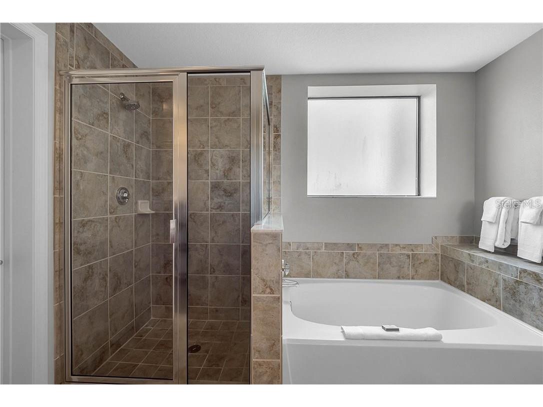 14501 Grove Resort Avenue #2527 Winter Garden FL 34787 O6368187 image17