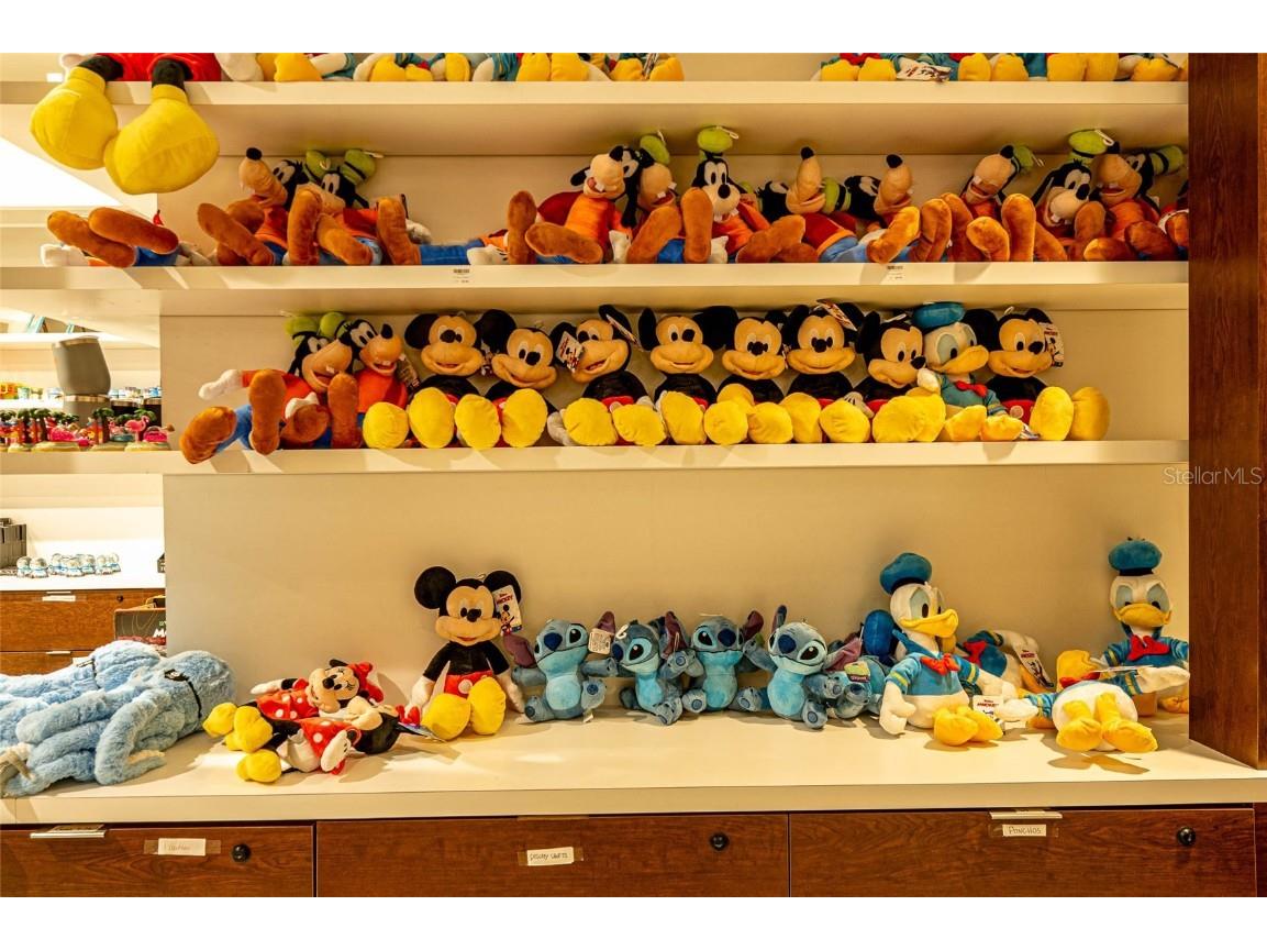 14501 Grove Resort Avenue #2534 Winter Garden FL 34787 O6369252 image20