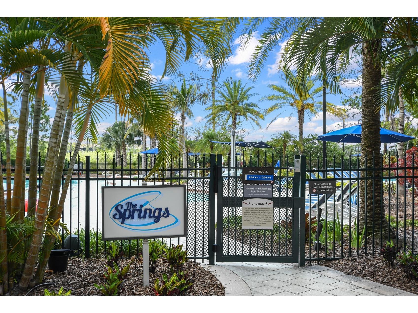 14501 Grove Resort Avenue #2535 Winter Garden FL 34787 - LAKE AUSTIN O6378144 image46