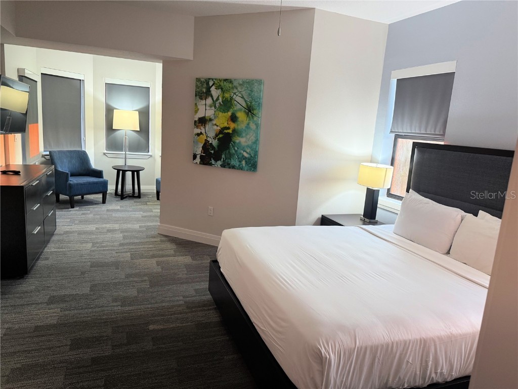 14501 Grove Resort Avenue #2536 Winter Garden FL 34787 O6364192 image13