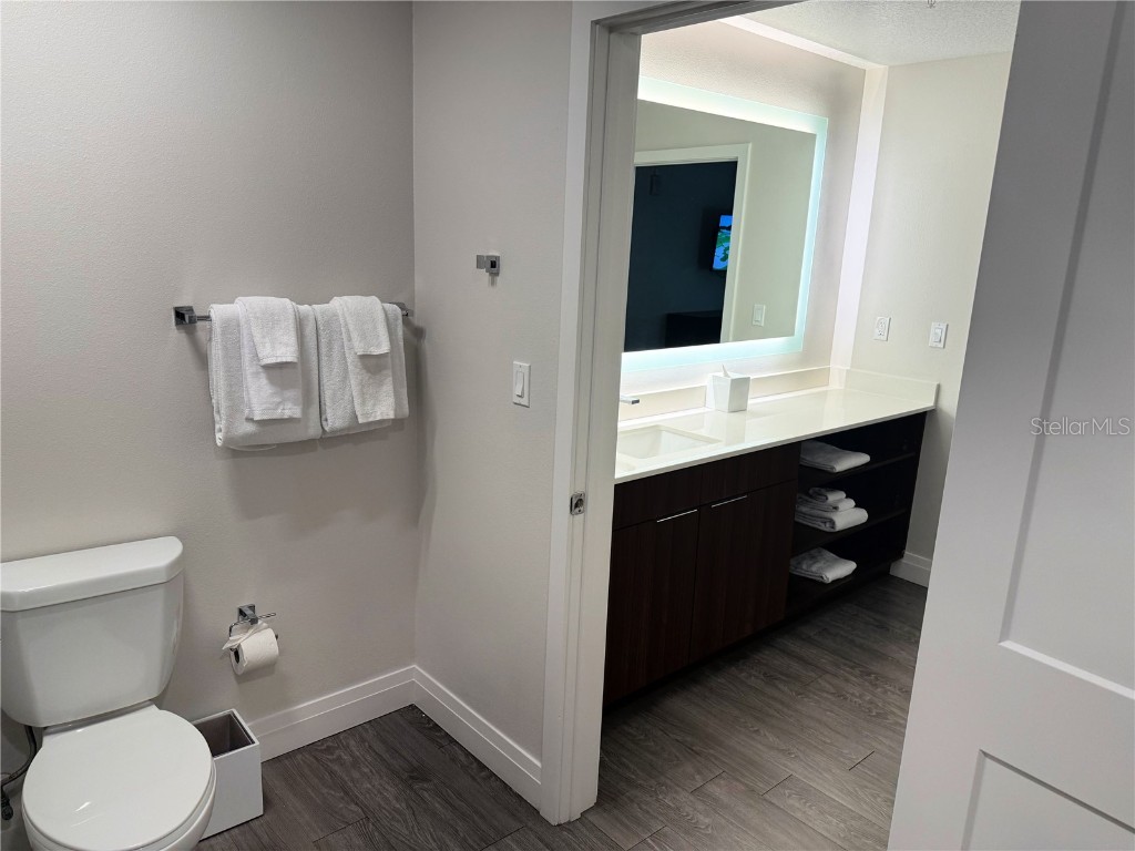 14501 Grove Resort Avenue #2536 Winter Garden FL 34787 O6364192 image22