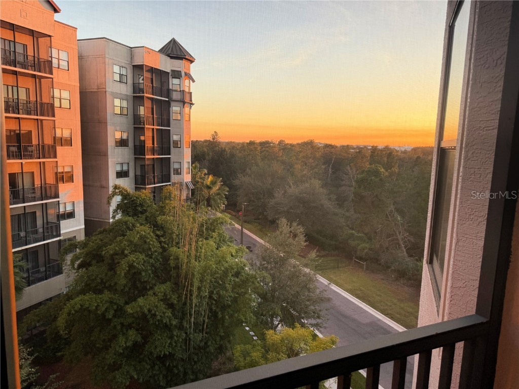 14501 Grove Resort Avenue #2536 Winter Garden FL 34787 O6364192 image25