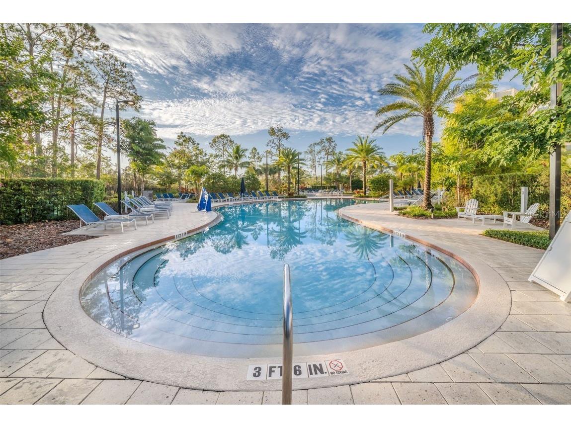 14501 Grove Resort Avenue #2602 Winter Garden FL 34787 O6332927 image41