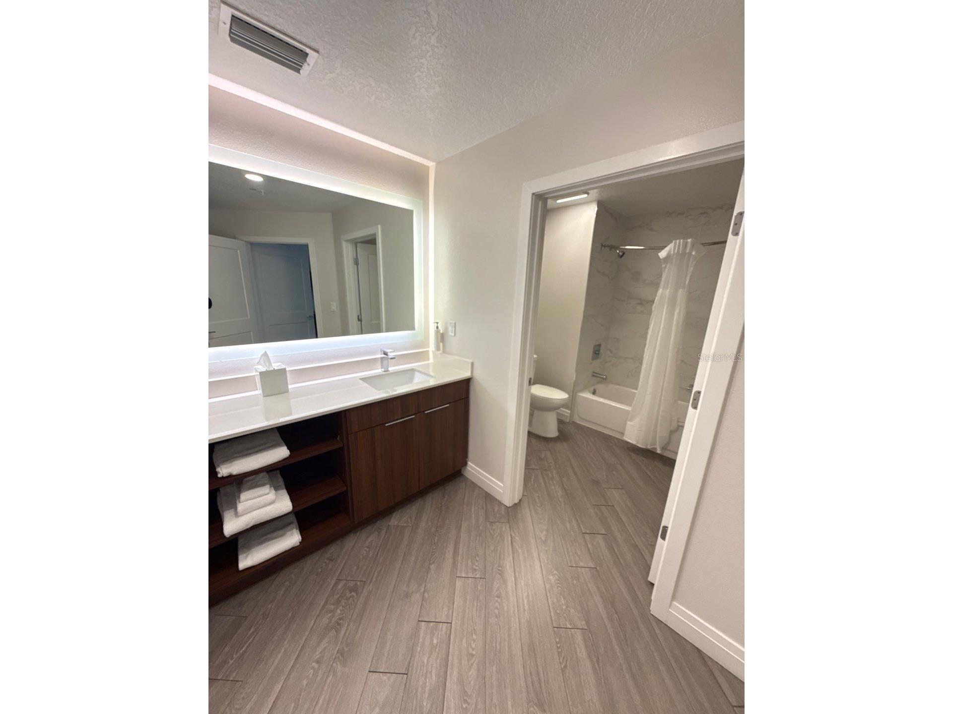 14501 Grove Resort Avenue #2604 Winter Garden FL 34787 O6367873 image19