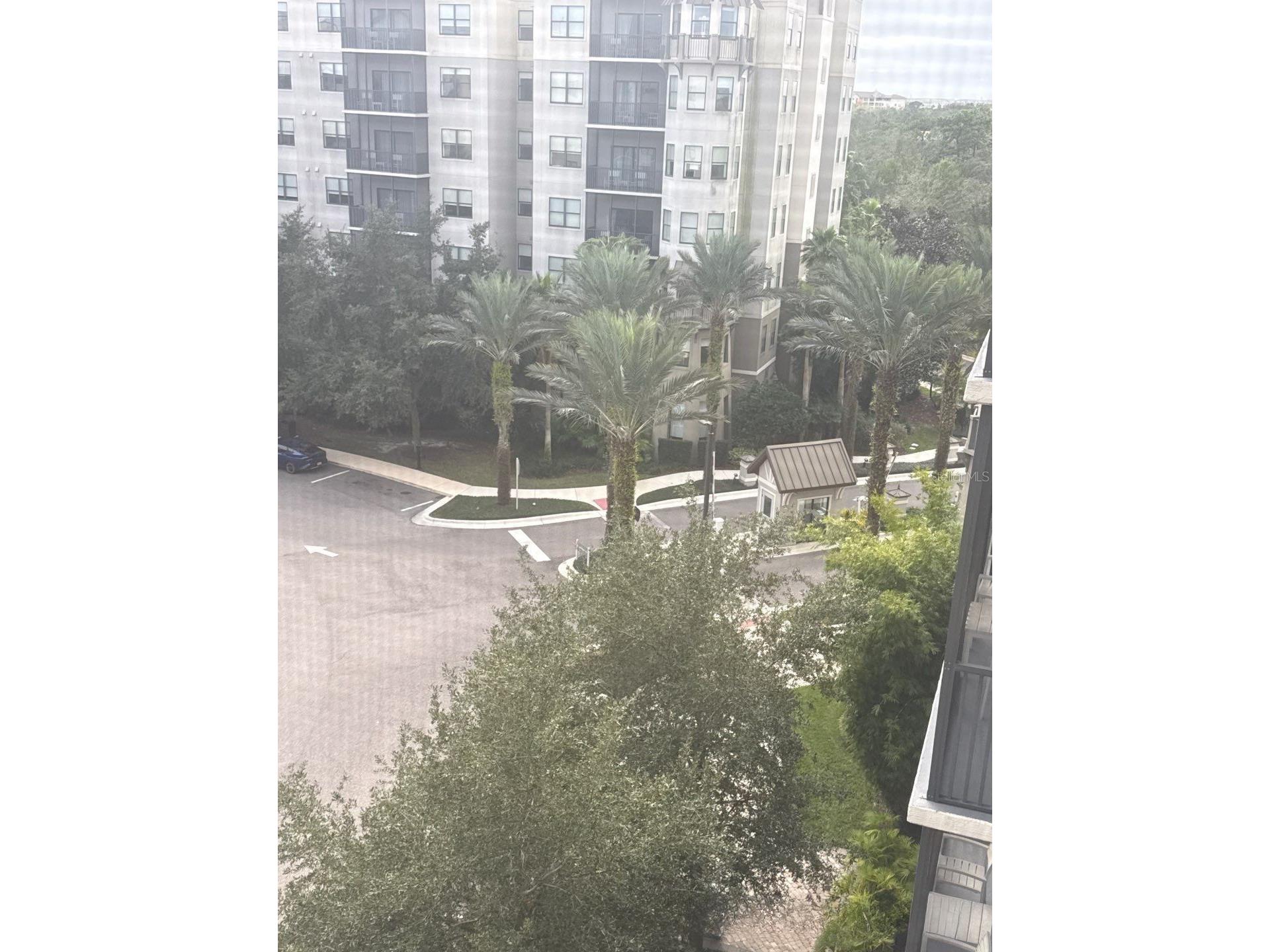 14501 Grove Resort Avenue #2604 Winter Garden FL 34787 O6367873 image22