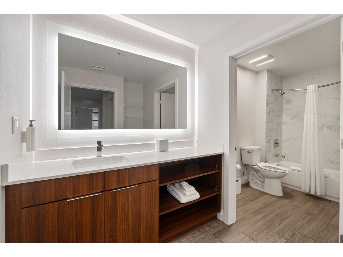 14501 Grove Resort Avenue #2607 Winter Garden FL 34787 O6354109 image29