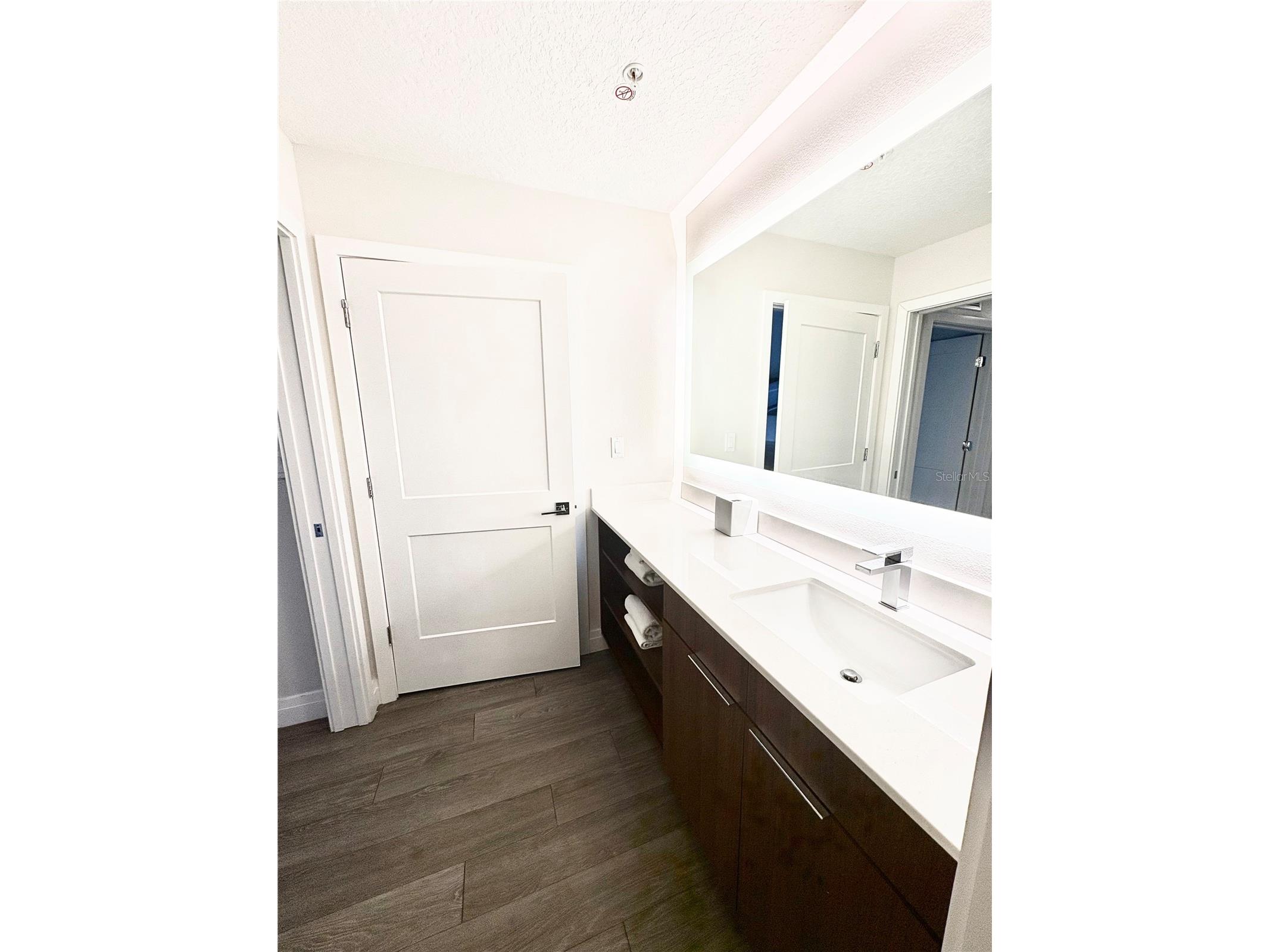 14501 Grove Resort Avenue #2615 Winter Garden FL 34787 - LAKE AUSTIN S5148328 image10