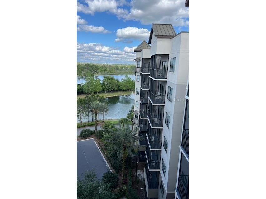 14501 Grove Resort Avenue #2709 Winter Garden FL 34787 O6197673 image16