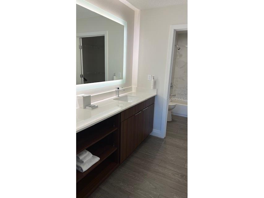 14501 Grove Resort Avenue #2709 Winter Garden FL 34787 O6197673 image7