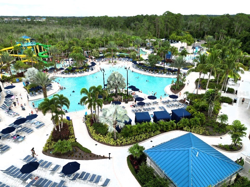 14501 Grove Resort Avenue #3-203 Winter Garden FL 34787 - LAKE AUSTIN O6145685 image35