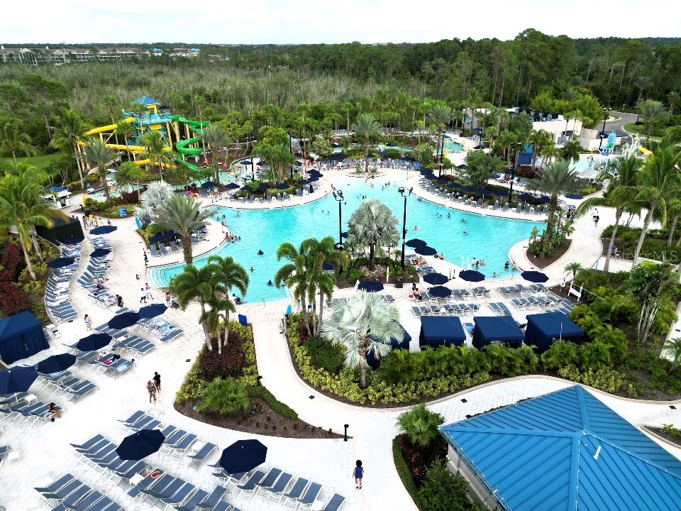 14501 Grove Resort Avenue #3-203 Winter Garden FL 34787 - LAKE AUSTIN O6145685 image38