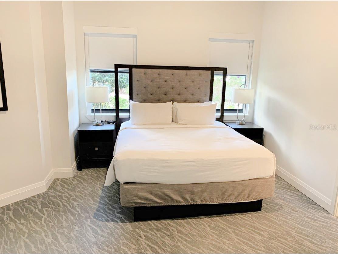 14501 Grove Resort Avenue #3109 Winter Garden FL 34787 - LAKE AUSTIN O6386655 image11