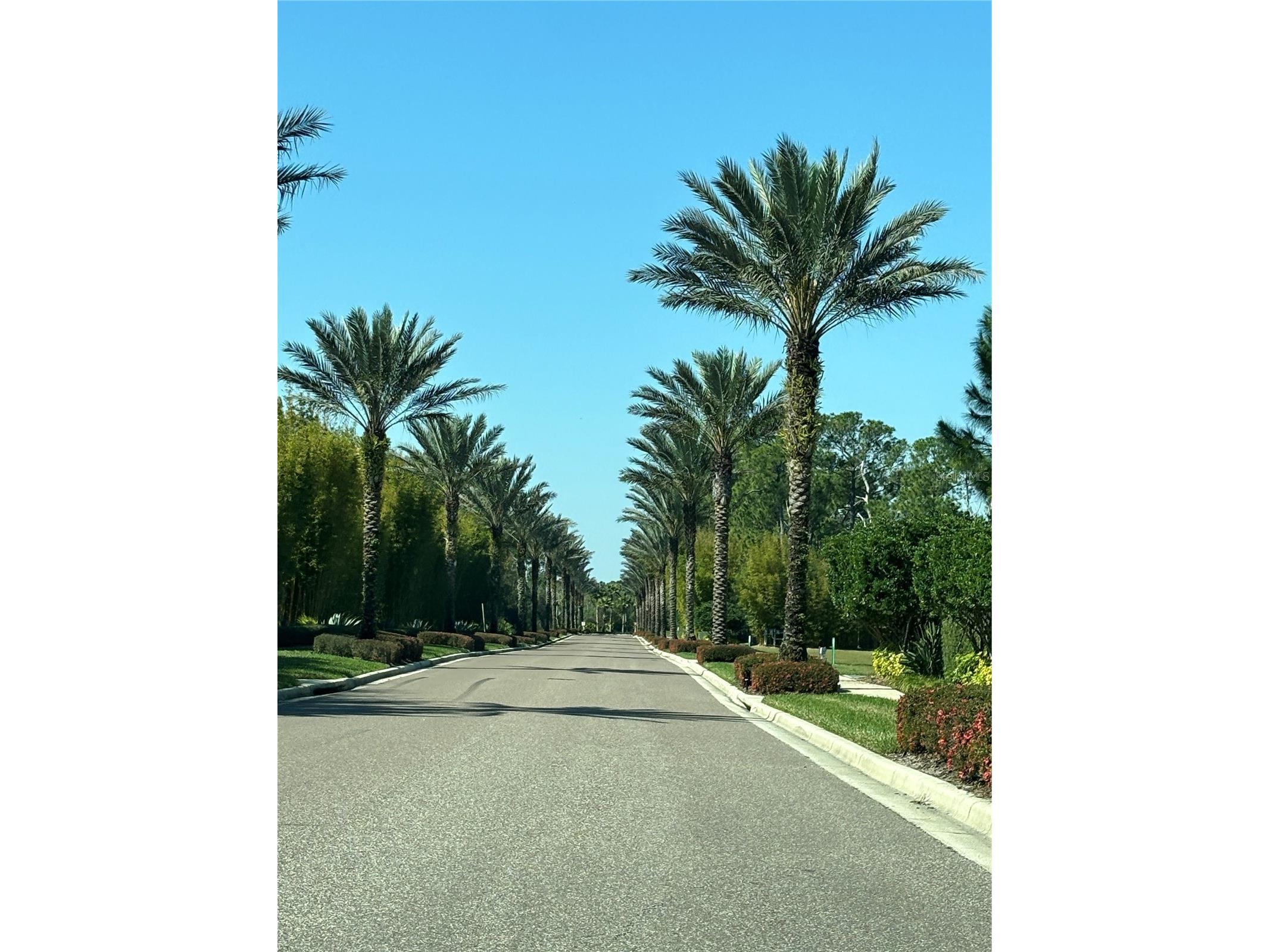 14501 Grove Resort Avenue #3128 Winter Garden FL 34787 G5107535 image18